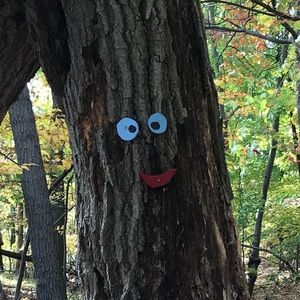 Meet your Posher, Yujia